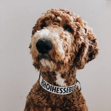 Laden Sie das Bild in den Galerie-Viewer, Personalisiertes Hundehalsband aus Segeltuch mit Wunsch Aufdruck / Wunsch Namen - emma und hugo