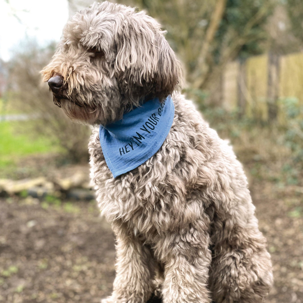 Hundehalstuch aus Musselin - verschiedene Farben und Aufdrucke - emma und hugo