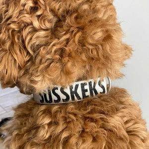 Personalisiertes Hundehalsband aus Segeltuch mit Wunsch Aufdruck | mit Namen des Hundes oder Telefonnummer - emma und hugo